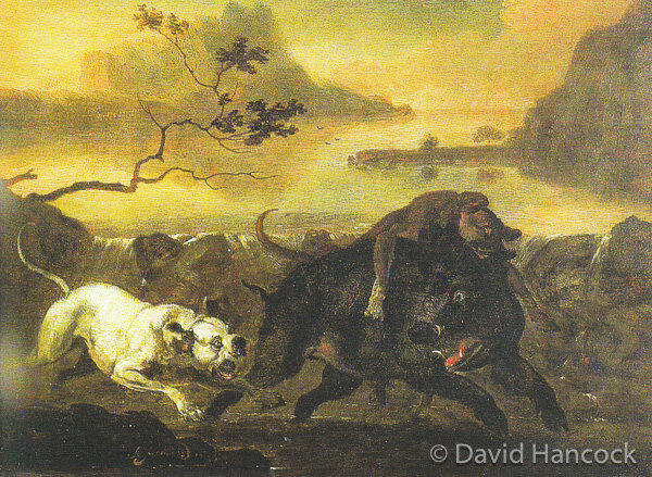 Hunting boxers deals